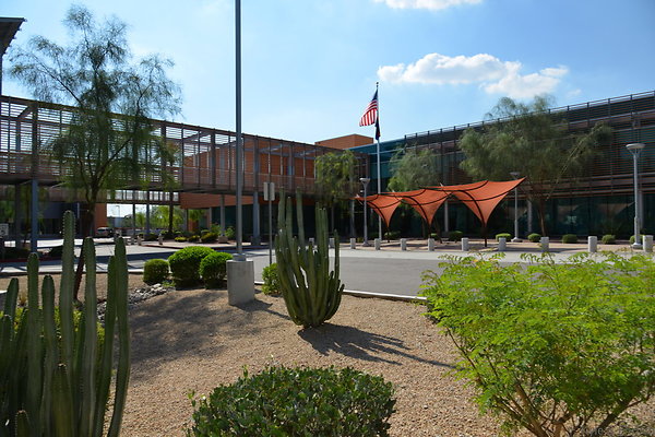 DSC 3006