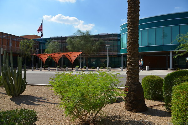 DSC 3007