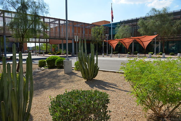 DSC 3002