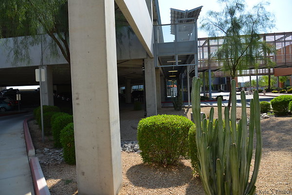 DSC 3005