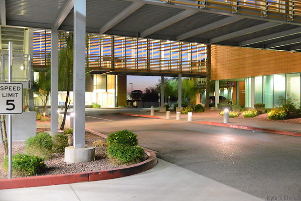 DSC 3952