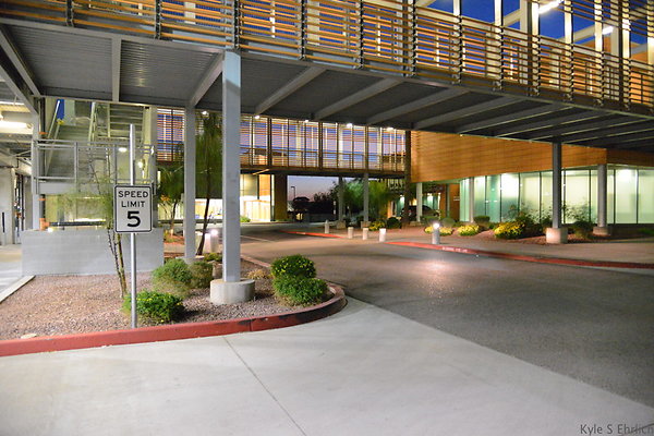 DSC 3951