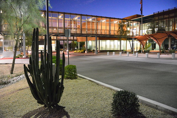 DSC 3956