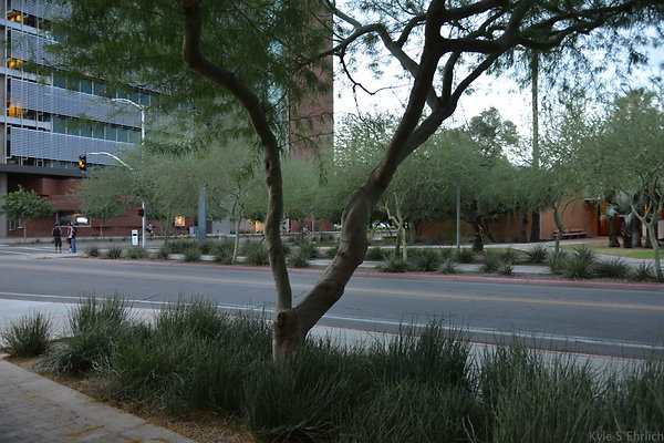 DSC 0909
