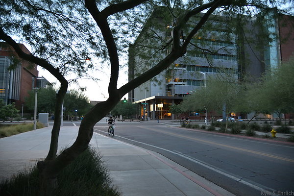 DSC 0917