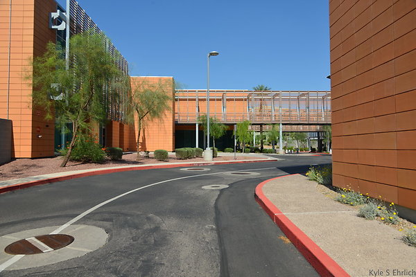 DSC 2855
