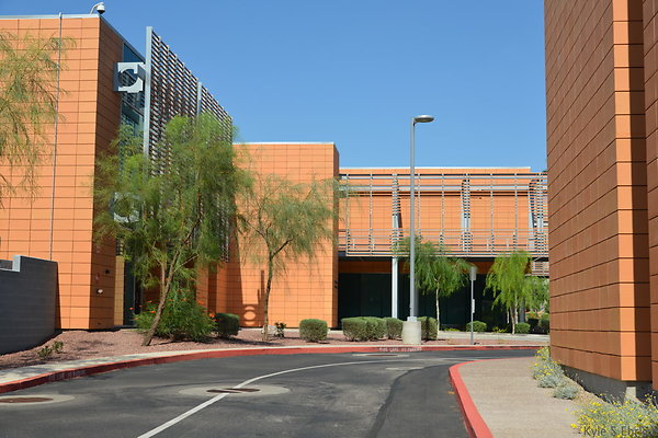 DSC 2854