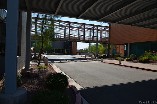 DSC 2884