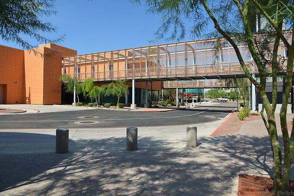 DSC 2865