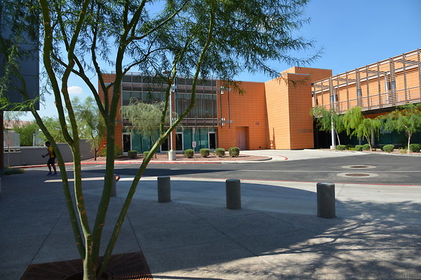 DSC 2864