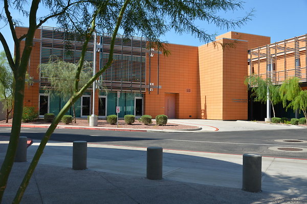 DSC 2868