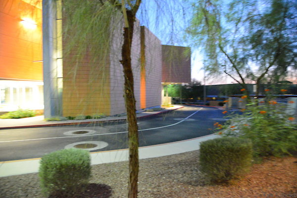 DSC 3884