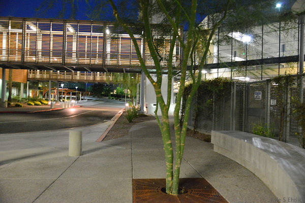 DSC 3935