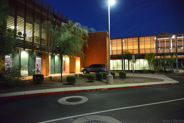 DSC 3921