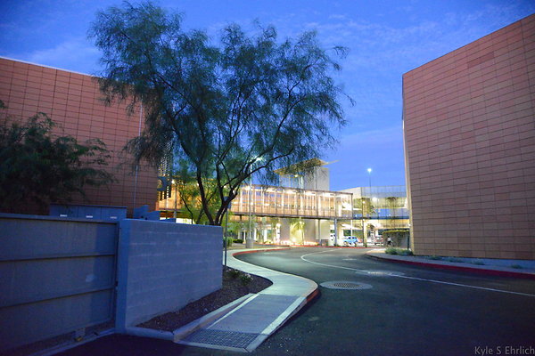 DSC 3890