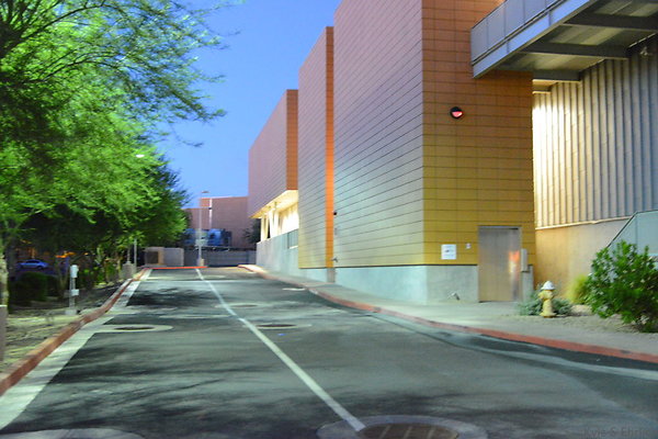 DSC 3917