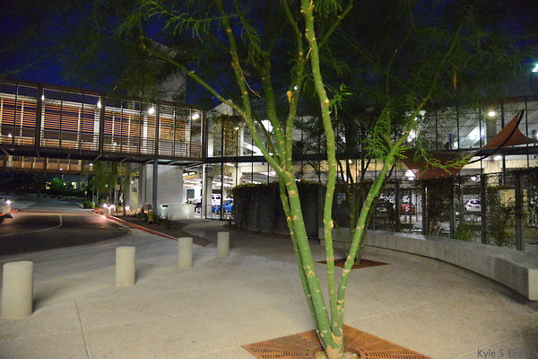 DSC 3930