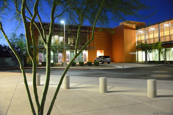 DSC 3933