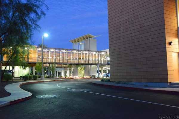 DSC 3894