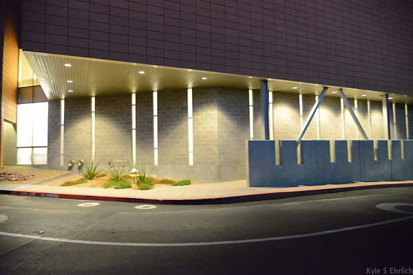 DSC 3900