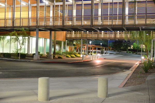 DSC 3937