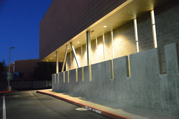 DSC 3919