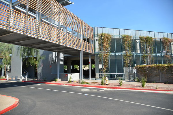 DSC 3020