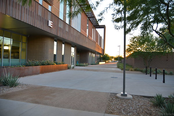 DSC 5692