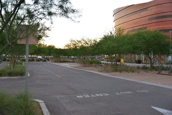 DSC 5831