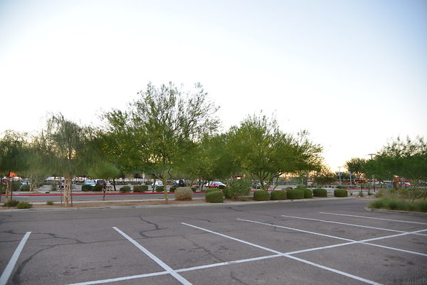 DSC 5817
