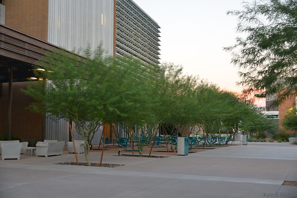 DSC 5835