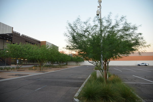 DSC 5813