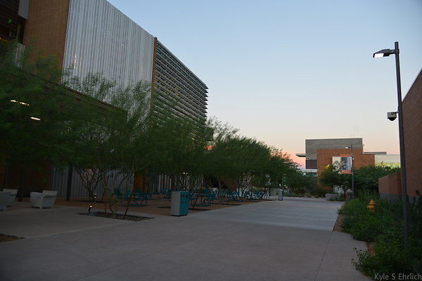 DSC 5843