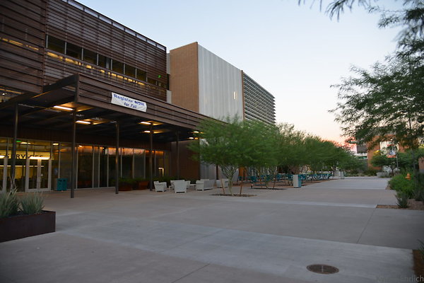 DSC 5833