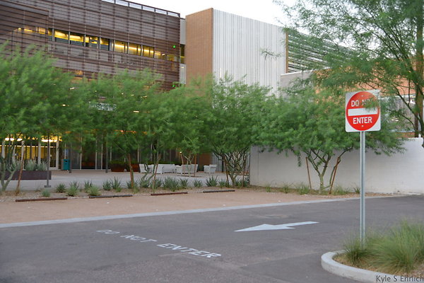 DSC 5825