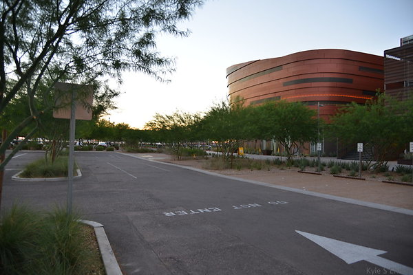 DSC 5830