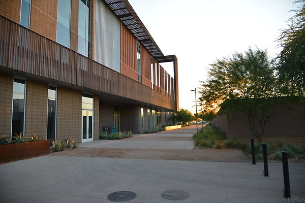 DSC 5687
