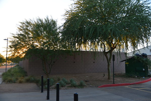 DSC 5691