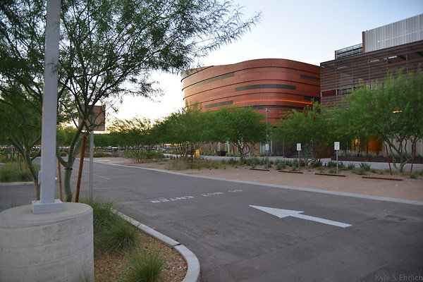 DSC 5832