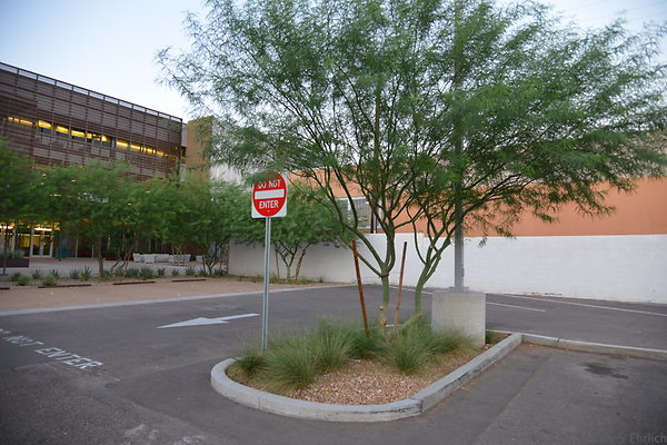 DSC 5829