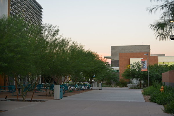DSC 5841