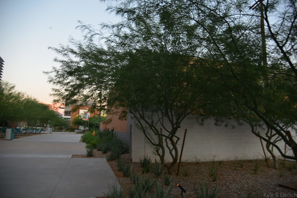 DSC 5838