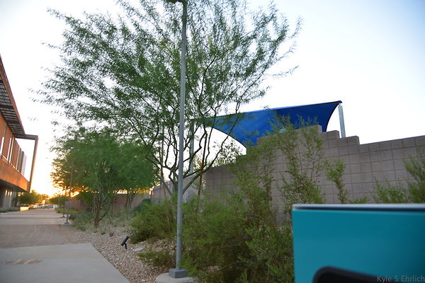 DSC 5720