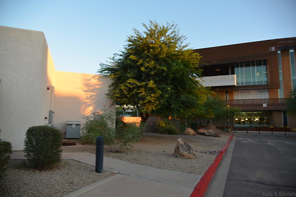 DSC 5683