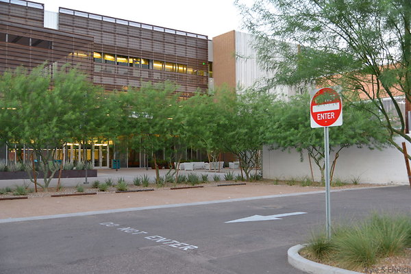 DSC 5826
