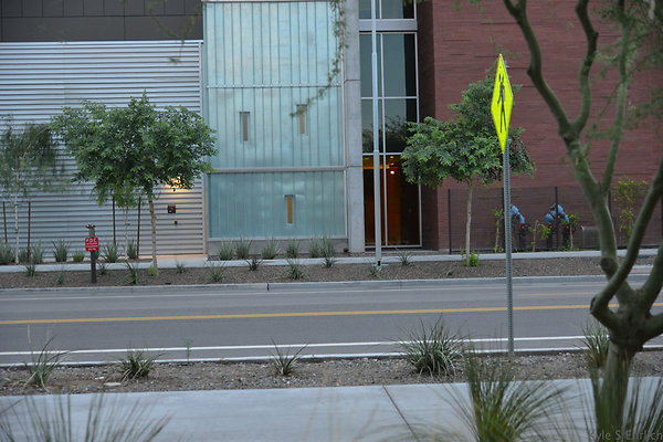DSC 0803