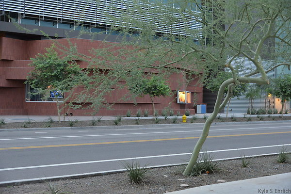 DSC 0825