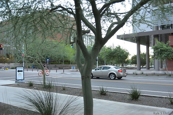DSC 0821