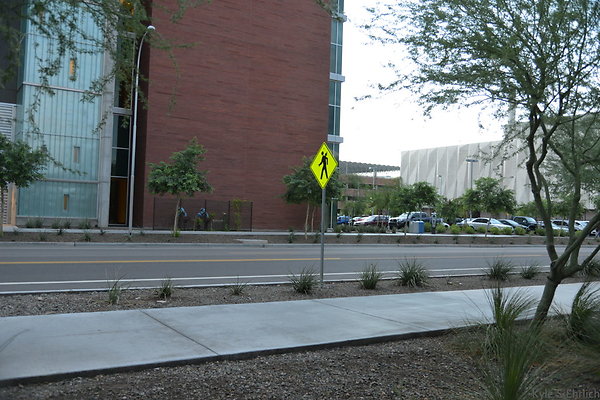 DSC 0810