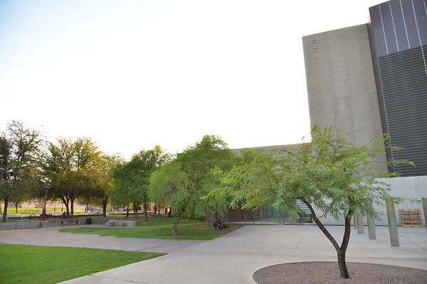 DSC 3612